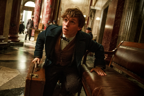 fantasticbeasts
