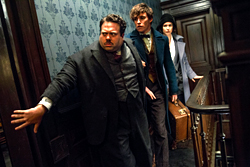 fantasticbeasts