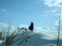 oyogisugitayoru