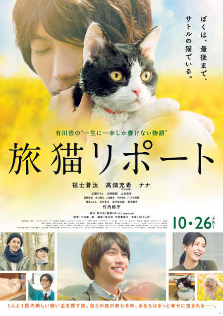 tabineko