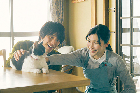 tabineko