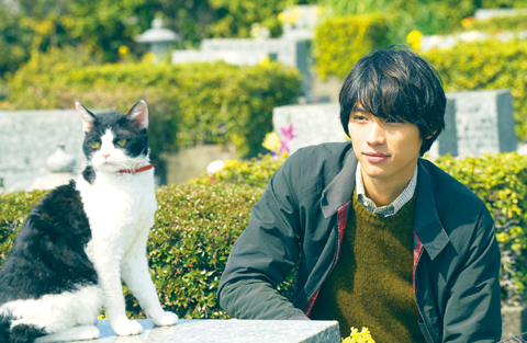 tabineko