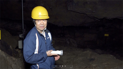 okinawasen