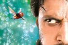 makkhi
